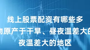 线上股票配资有哪些多肉植物原产于干旱、昼夜温差大的地区