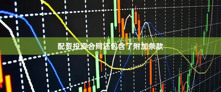 配资投资合同还包含了附加条款